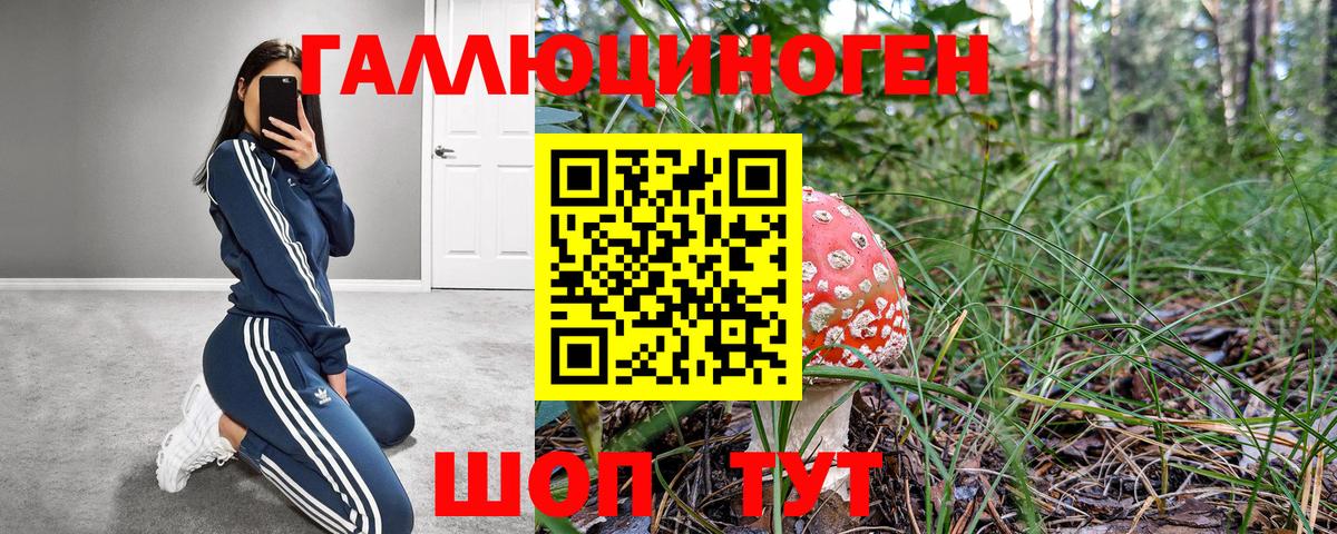 Камышлов  Галлюциногенные грибы Magic Shrooms  Вход с VPN 